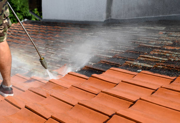 Garage Pressure Washing in Laupahoehoe, HI
