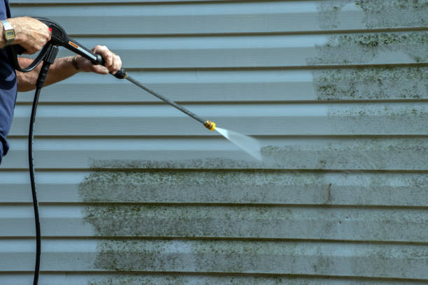 Best Affordable Pressure Washing  in Laupahoehoe, HI
