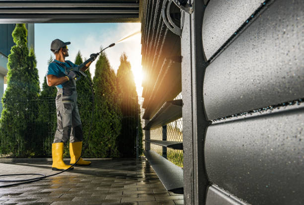 Best Affordable Pressure Washing  in Laupahoehoe, HI