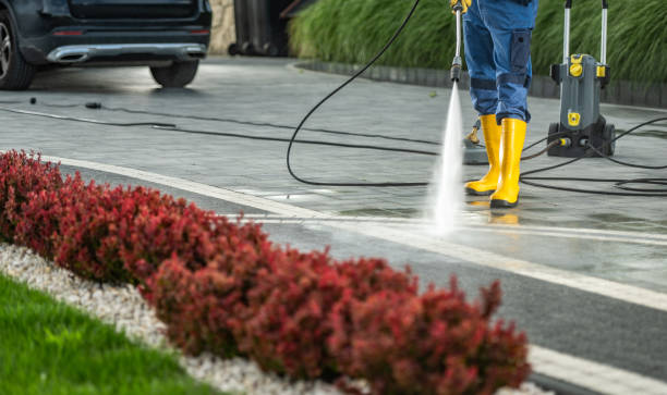 Best Roof Pressure Washing  in Laupahoehoe, HI