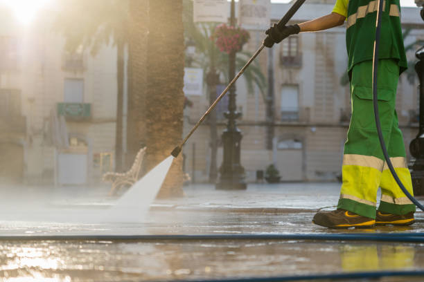 Roof Power Washing Services in Laupahoehoe, HI