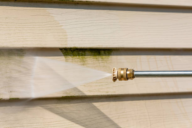 Best Residential Pressure Washing Services  in Laupahoehoe, HI