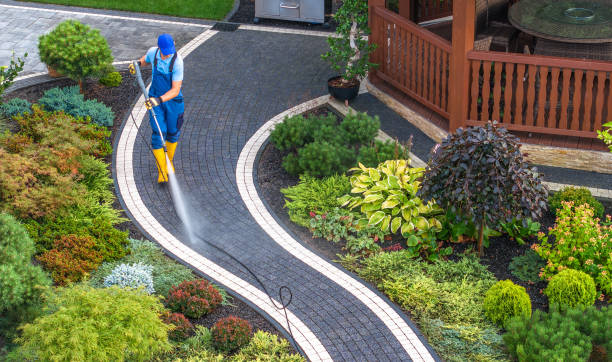 Best Residential Pressure Washing Services  in Laupahoehoe, HI