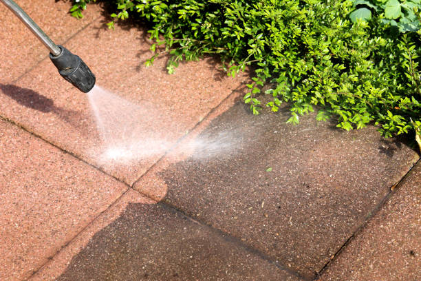 Best Fence Pressure Washing  in Laupahoehoe, HI